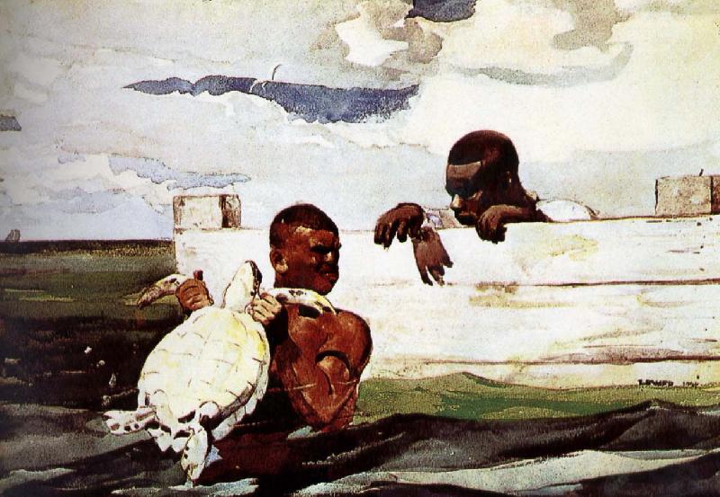 Winslow Homer Turtles captured in oil painting image